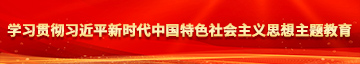 午夜操御姐学习贯彻习近平新时代中国特色社会主义思想主题教育